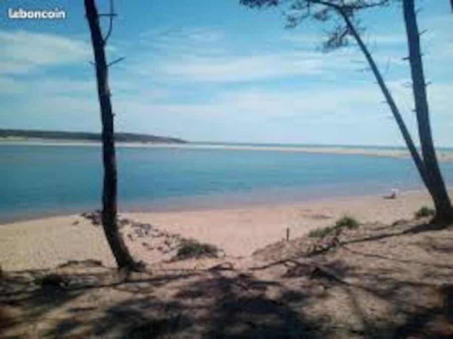 Studio Au Coeur Du Golf De Port Bourgenay, Proche Des Sables D'Olonne Talmont-Saint-Hilaire Bagian luar foto